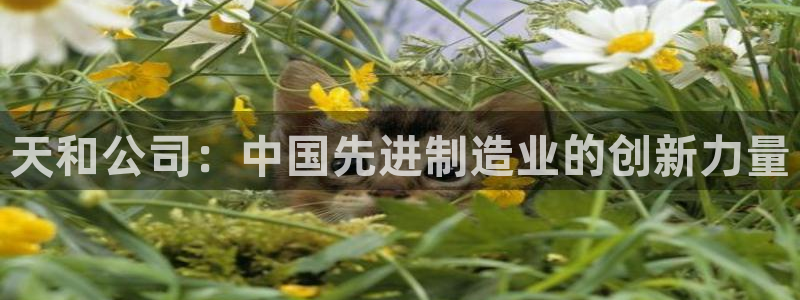彩神合法吗.是国家认可的吗：天和公司：中国先进制造业的创新力量