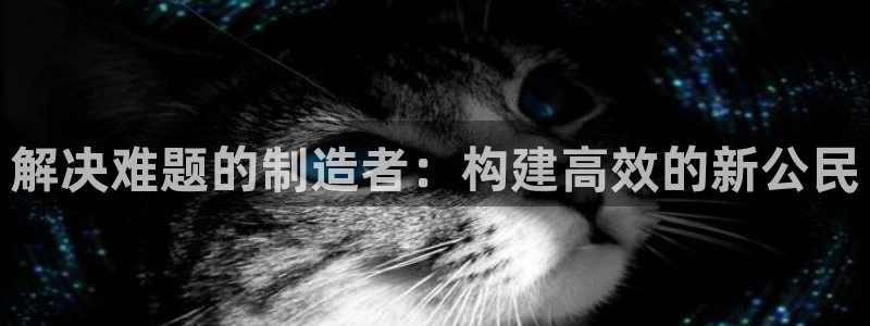 彩神vlll(中国)百度百科：解决难题的制造者：构建高效的新公民