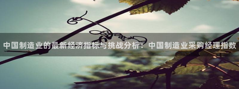 彩神v违法么：中国制造业的最新经济指标与挑战分析：中国制造业采购经理指数
