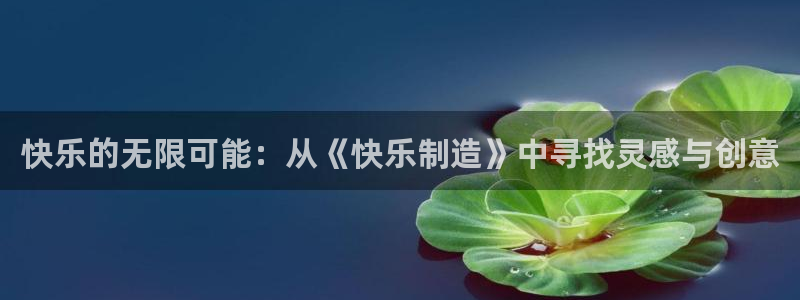 彩神ix可靠吗：快乐的无限可能：从《快乐制造》中寻找灵感与创