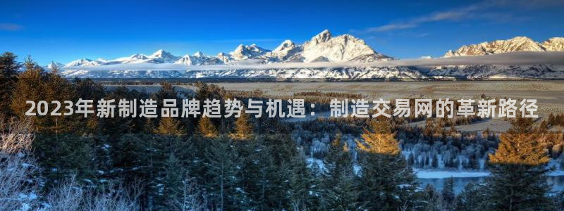 彩神v8平台正规吗知乎：2023年新制造品牌趋势与机遇：制造交易网的革新路径