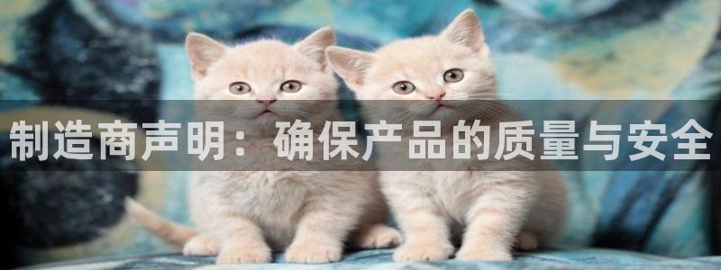下载彩神通关注码：制造商声明：确保产品的质量与安全
