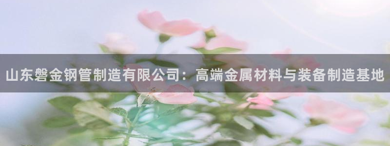 彩神是正规平台吗知乎：山东磐金钢管制造有限公司：高端金属材料与装备制造基地