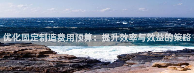 彩神网可以赚钱是真的吗：优化固定制造费用预算：提升效率与效益的策略