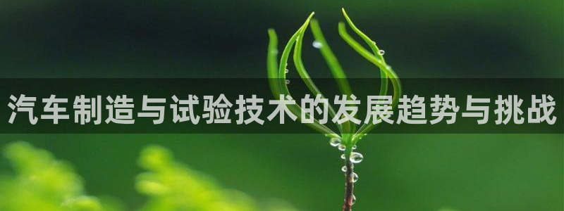 彩神ix能赚钱吗：汽车制造与试验技术的发展趋势与挑战
