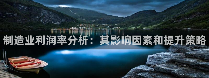 彩神争霸官方下载：制造业利润率分析：其影响因素和提升策略