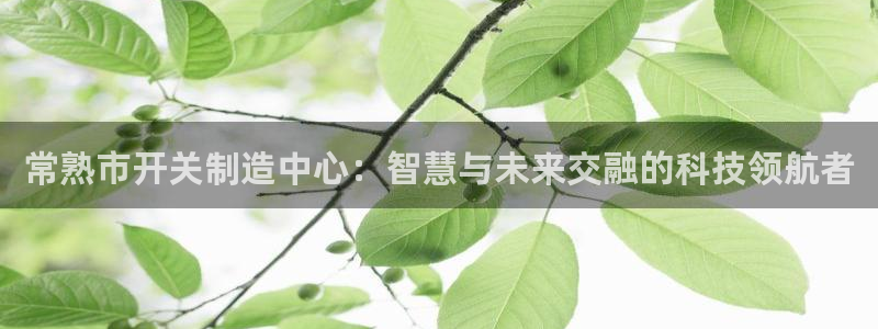彩神官方登录：常熟市开关制造中心：智慧与未来交融的科技领航者