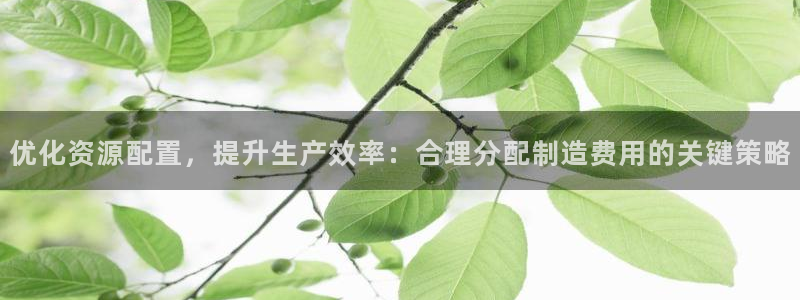 彩神vlll(中国)百度百科：优化资源配置，提升生产效率：合理分配制造费用的关键策略
