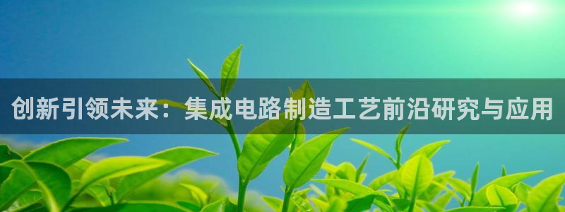 彩神8是正规平台吗知乎：创新引领未来：集成电路制造工艺前沿研究与应用
