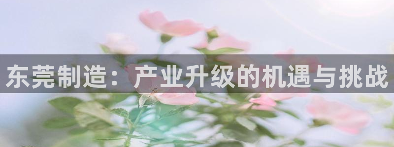 下载彩神v8：东莞制造：产业升级的机遇与挑战
