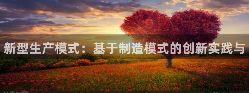 彩神怎么才能赢：新型生产模式：基于制造模式的创新实践与