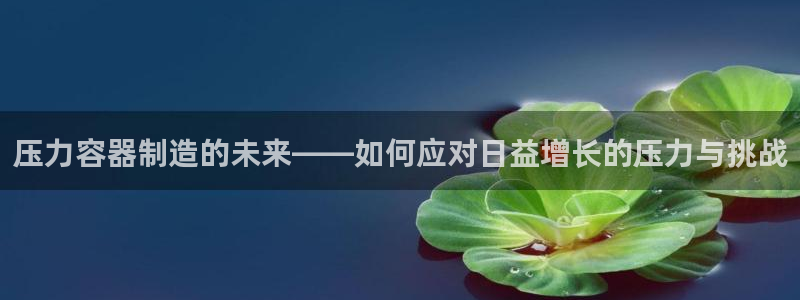 彩神VII购彩中心：压力容器制造的未来——如何应对日益增长的压力与挑战