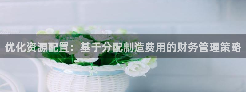 彩神8是正规平台吗：优化资源配置：基于分配制造费用的财务管理策略