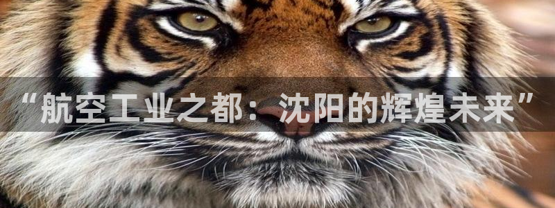 彩神VII官方版：“航空工业之都：沈阳的辉煌未来”