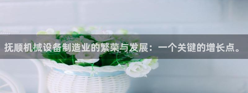 彩神iv是正规平台吗?：抚顺机械设备制造业的繁荣与发展：一个