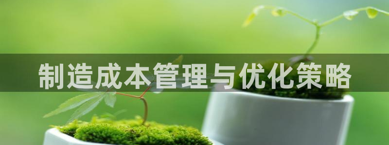 彩神vii官网大赢家：制造成本管理与优化策略