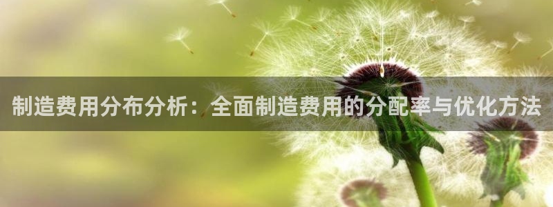彩神v集团有限公司：制造费用分布分析：全面制造费用的分配率与优化方法