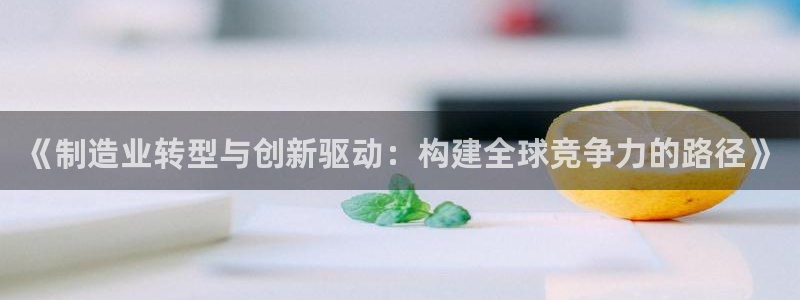 彩神vll购彩大厅：《制造业转型与创新驱动：构建全球竞争力的路径》