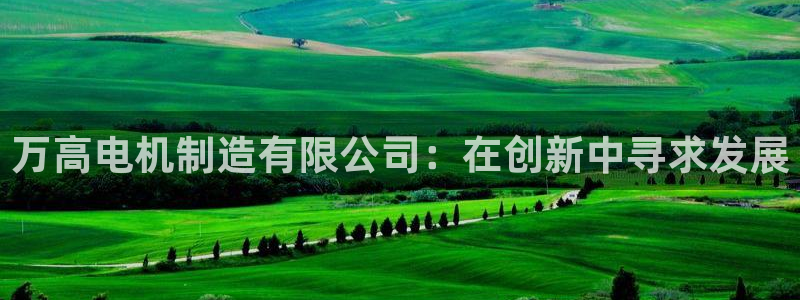 彩神v下载安装：万高电机制造有限公司：在创新中寻求发展