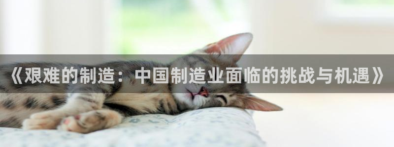 彩神8是正规平台吗知乎：《艰难的制造：中国制造业面临的挑战与机遇》