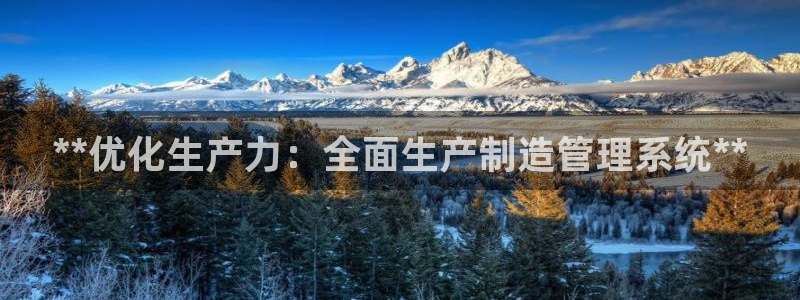 彩神盈利图片：**优化生产力：全面生产制造管理系统**