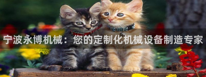 彩神赢了钱登录不上去：宁波永博机械：您的定制化机械设备制造专家