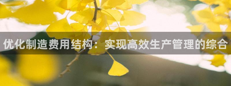 彩神vllⅰ购彩大厅：优化制造费用结构：实现高效生产管理的综合